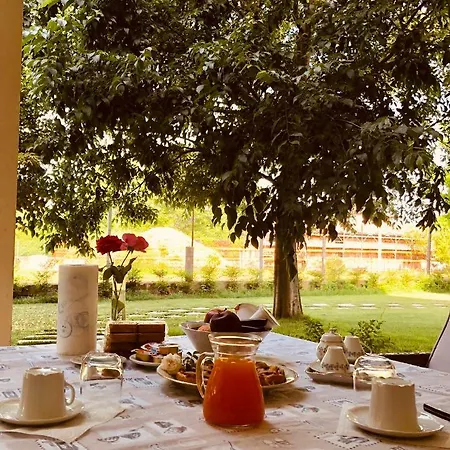 Casa Di Rosa Bed & Breakfast