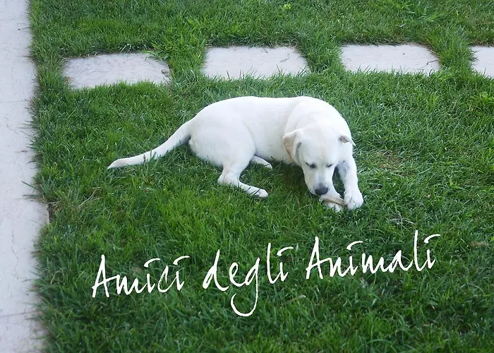 住宿加早餐酒店 Casa Di Rosa